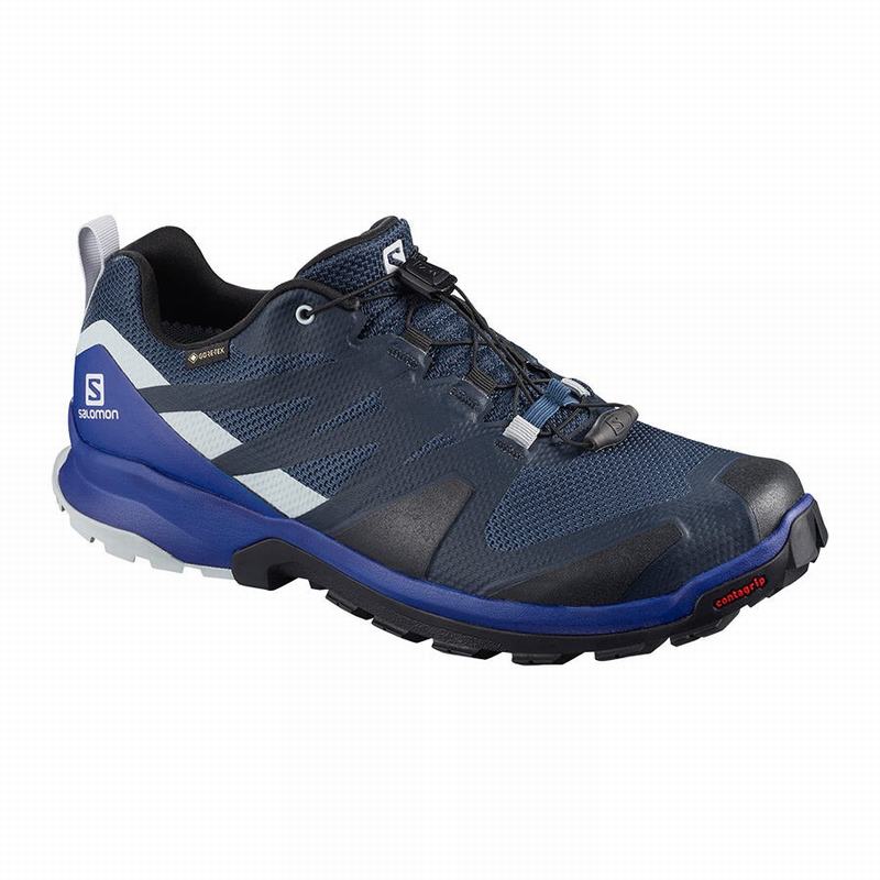 Salomon Singapore Mens Hiking Shoes - XA ROGG GTX Navy/Black | 78915-SIZH